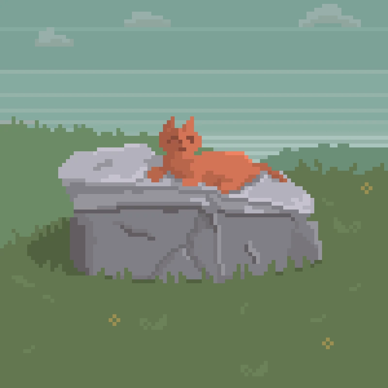 Cat on a rock
